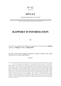 RAPPORT D’INFORMATION N° 52 SÉNAT