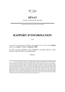 RAPPORT D’INFORMATION N° 316 SÉNAT