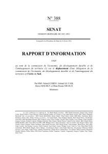 RAPPORT D´INFORMATION N° 388 SENAT
