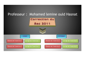 Professeur :  Mohamed lemine ould Hasnat