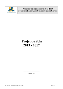 Projet de Soin 2013 - 2017 P