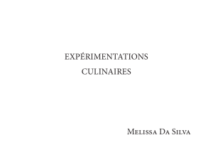 book experimentations culinaires melissa da silva