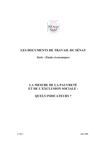 Le rapport au format pdf