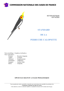 STANDARD DE LA PERRUCHE CALOPSITTE COMMISSION NATIONALE DES JUGES DE FRANCE