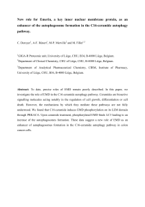 New  role  for  Emerin,  a ... enhancer of the autophagosome formation in the C16-ceramide autophagy