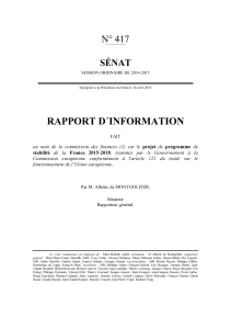 RAPPORT D´INFORMATION N° 417 SÉNAT
