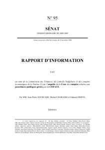 Le rapport au format pdf