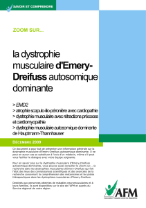 la dystrophie d'Emery- Dreifuss