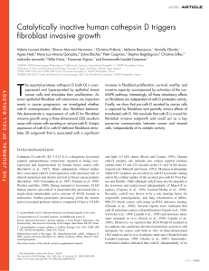 Catalytically inactive human cathepsin D triggers fibroblast invasive growth
