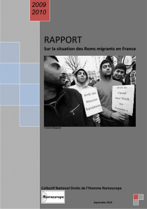 http://www.ldh-france.org/IMG/pdf/Rapport_Romeurope_2009-2010.pdf