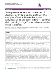 The expression patterns and correlations of methyltransferase 1, histone deacetylase 1,