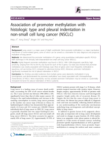 Association of promoter methylation with histologic type and pleural indentation in