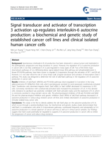 Signal transducer and activator of transcription 3 activation up-regulates interleukin-6 autocrine