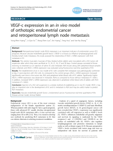 VEGF-c expression in an in vivo model of orthotopic endometrial cancer
