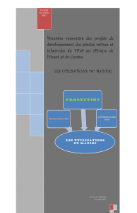plantes racines ettubercules du fida en afrique del ouest et du centre les utilisations du manioc