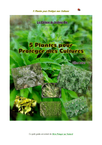 5 Plantes pour Protéger mes Cultures  Mon Potager au Naturel