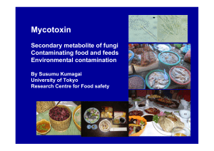 Mycotoxin Secondary metabolite of fungi Contaminating food and feeds Environmental contamination