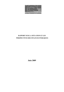 T&eacute;l&eacute;charger Rapport sur la situation et les perspectives des finances publiques - Juin 2009 au format PDF, poids 559.02 Ko