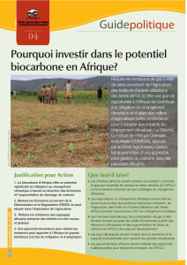 Guide politique Pourquoi investir dans le potentiel biocarbone en Afrique?