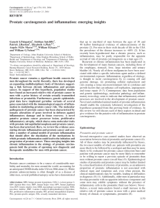 Prostate carcinogenesis and inflammation: emerging insights REVIEW