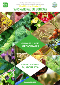 les plantes medicinales livret 1