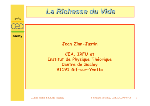 La Richesse du Vide Jean Zinn-Justin CEA, IRFU et Institut de Physique Théorique