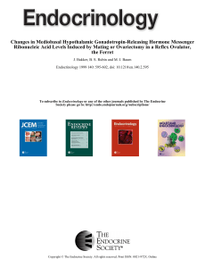 Changes in Mediobasal Hypothalamic Gonadotropin-Releasing Hormone Messenger