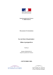 Télécharger Les services à la personne : bilan et perspectives - Document d'orientation au format PDF, poids 1.68 Mo