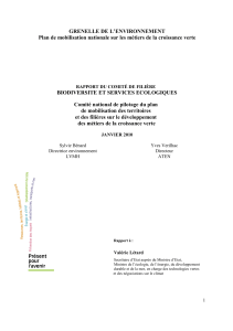 Télécharger Comité national de pilotage du plan de mobilisation des territoires et des filières sur le développement des métiers de la croissance verte - Ra... au format PDF, poids 1.29 Mo