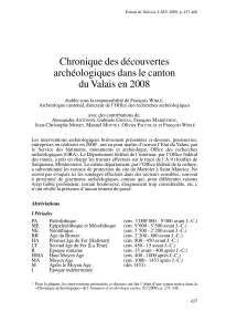 Chronique des découvertes archéologiques dans le canton du Valais en 2008