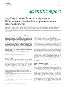 Ring Finger Protein 14 is a new regulator of