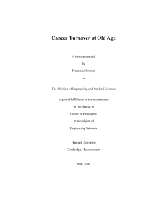 Cancer Turnover at Old Age