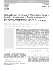 Clinicopathologic significance of DNA methyltransferase 1,