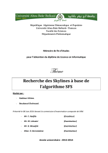 Recherche-des-Skylines.pdf