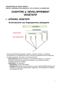 ovv p2 c2 developpement vegetatif compressed
