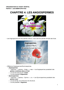 ovv p1 c4 angiospermes pdf compressed