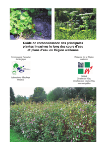 Guide de reconnaissance des principales et plans d’eau en Région wallonne