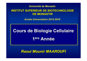 cours bio cell chap iv 1ere a isbm 2015 2016