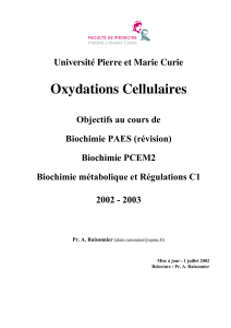 Oxydations Cellulaires