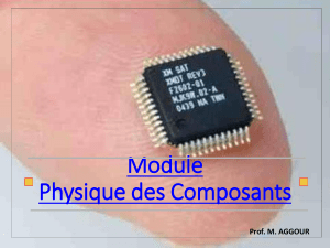 Module Physique des Composants Prof. M. AGGOUR 1