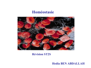 Homéostasie Révision ST2S Hedia BEN ABDALLAH