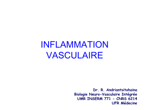 cours inflammation