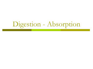 digestion partie3