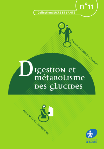 digestion glucides