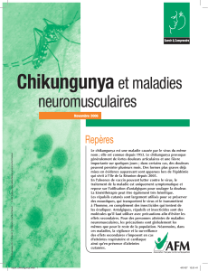 Chikungunya  et maladies neuromusculaires