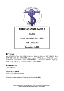TUTORAT	SANTÉ	PARIS	7 PACES  T