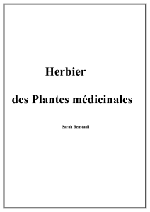 Herbier des Plantes médicinales Sarah Benstaali