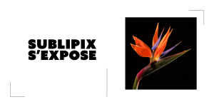 SUBLIPIX S’EXPOSE