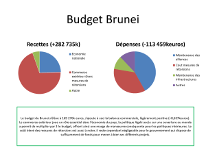 Budget Brunei Recettes (+282 735k) Dépenses (-113 459keuros)