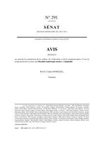 AVIS N&deg; 291 S&Eacute;NAT